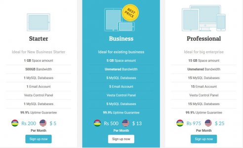 Business Web Hosting