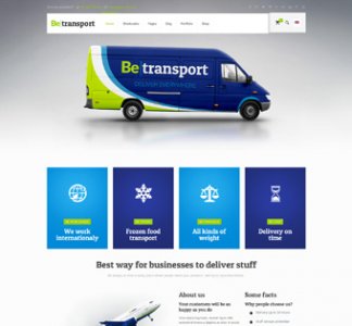 Large Website Development